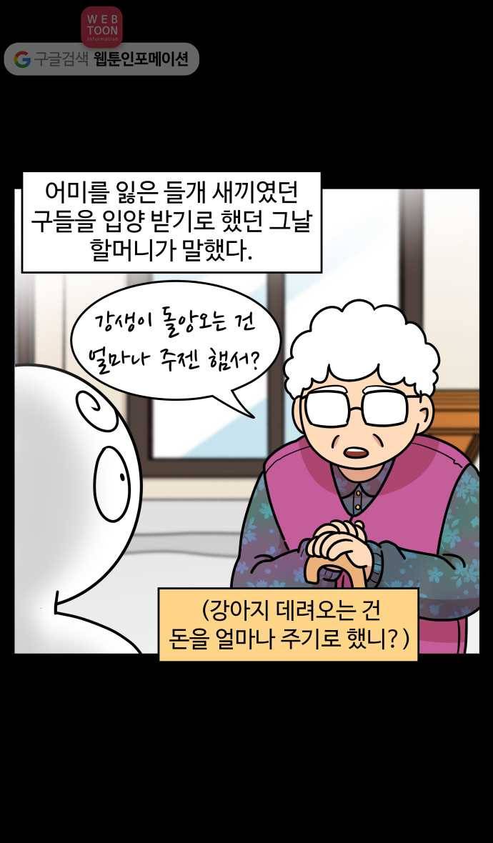 노곤하개 시즌3 30화 구들과 입양(1) 5