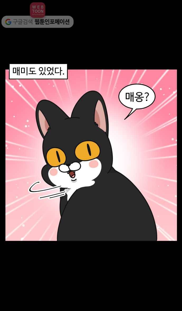 노곤하개 시즌3 40화 줍욘이 매미와 만나다 (1) 3