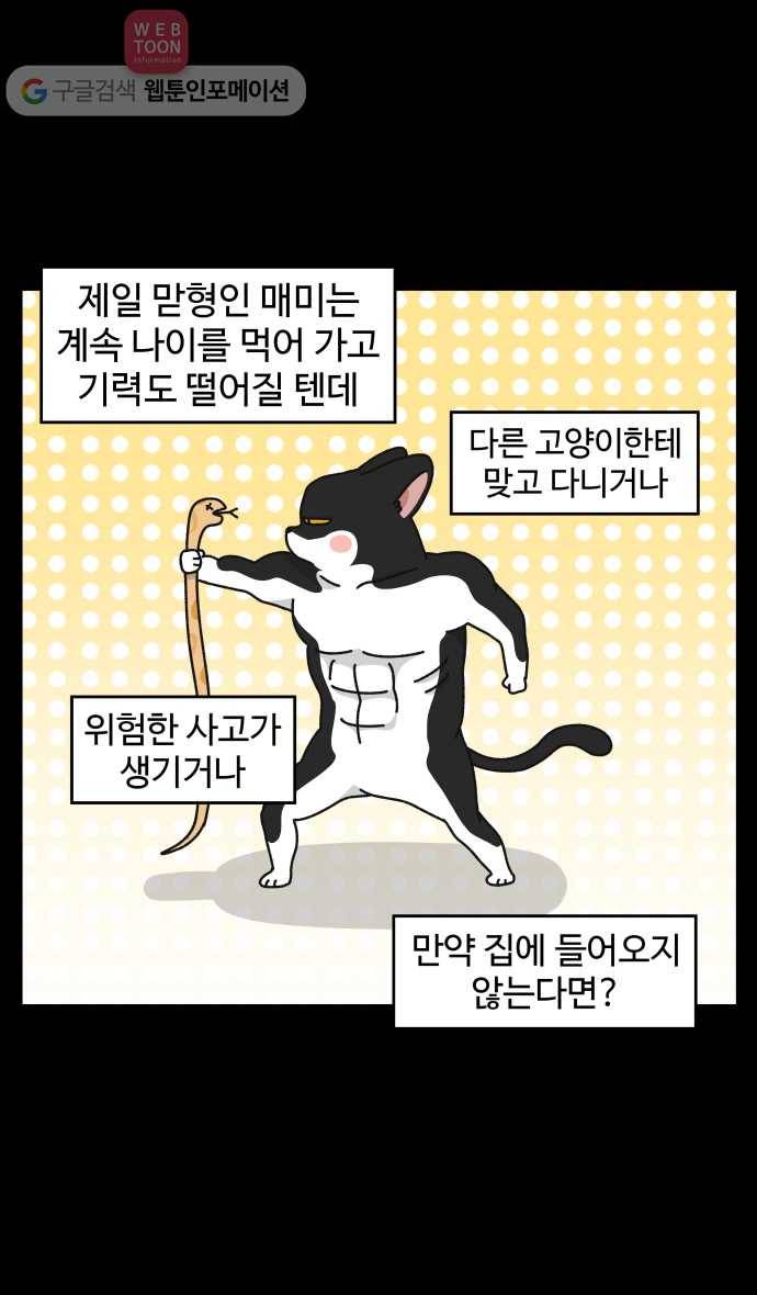노곤하개 시즌3 40화 줍욘이 매미와 만나다 (1) 4
