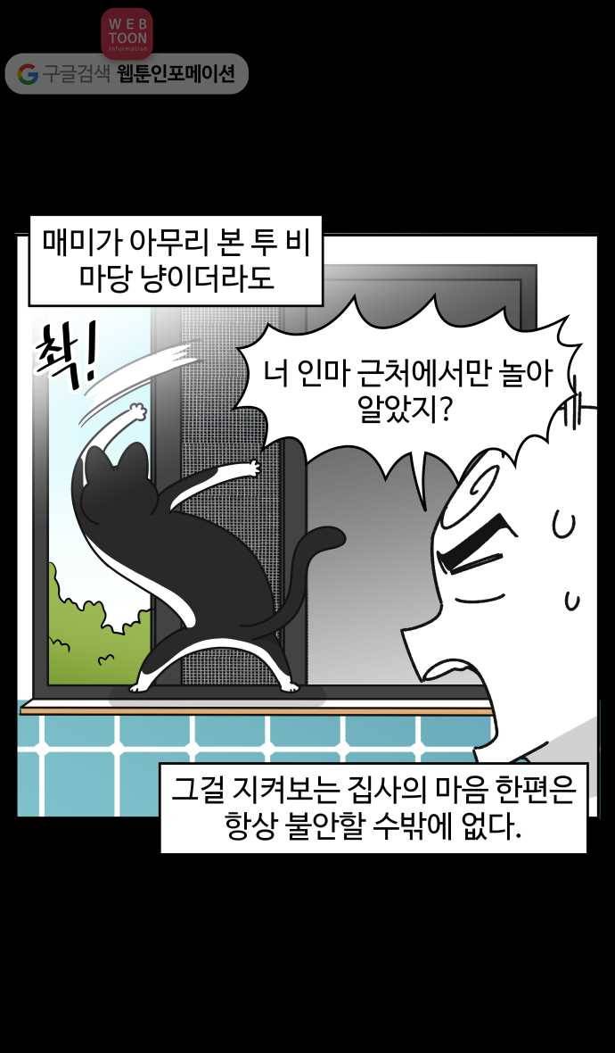 노곤하개 시즌3 40화 줍욘이 매미와 만나다 (1) 5