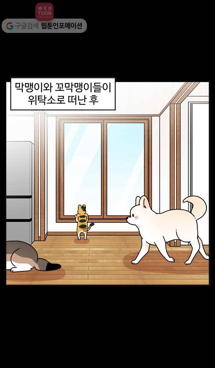 노곤하개 시즌3 50화 마지막 화 1