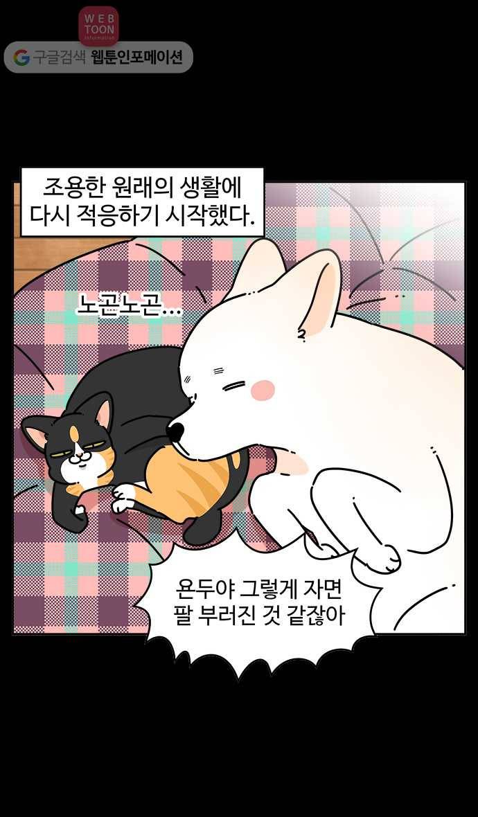 노곤하개 시즌3 50화 마지막 화 2