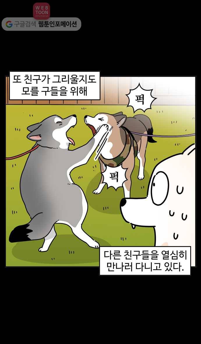 노곤하개 시즌3 50화 마지막 화 5