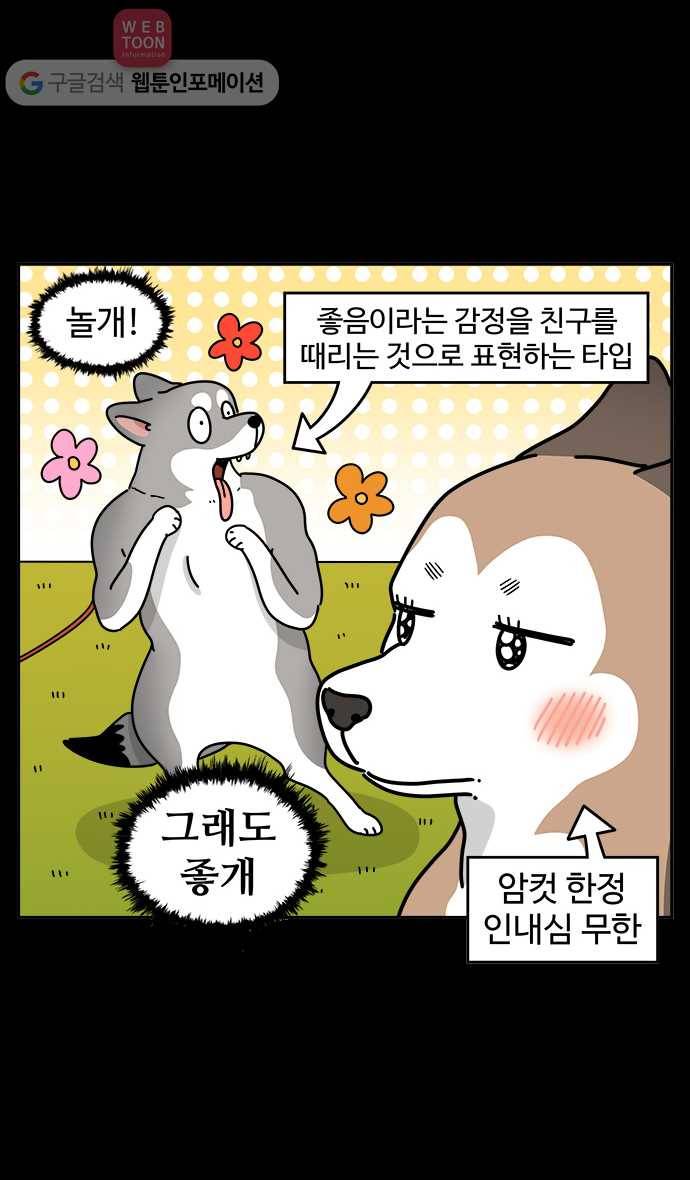 노곤하개 시즌3 50화 마지막 화 6
