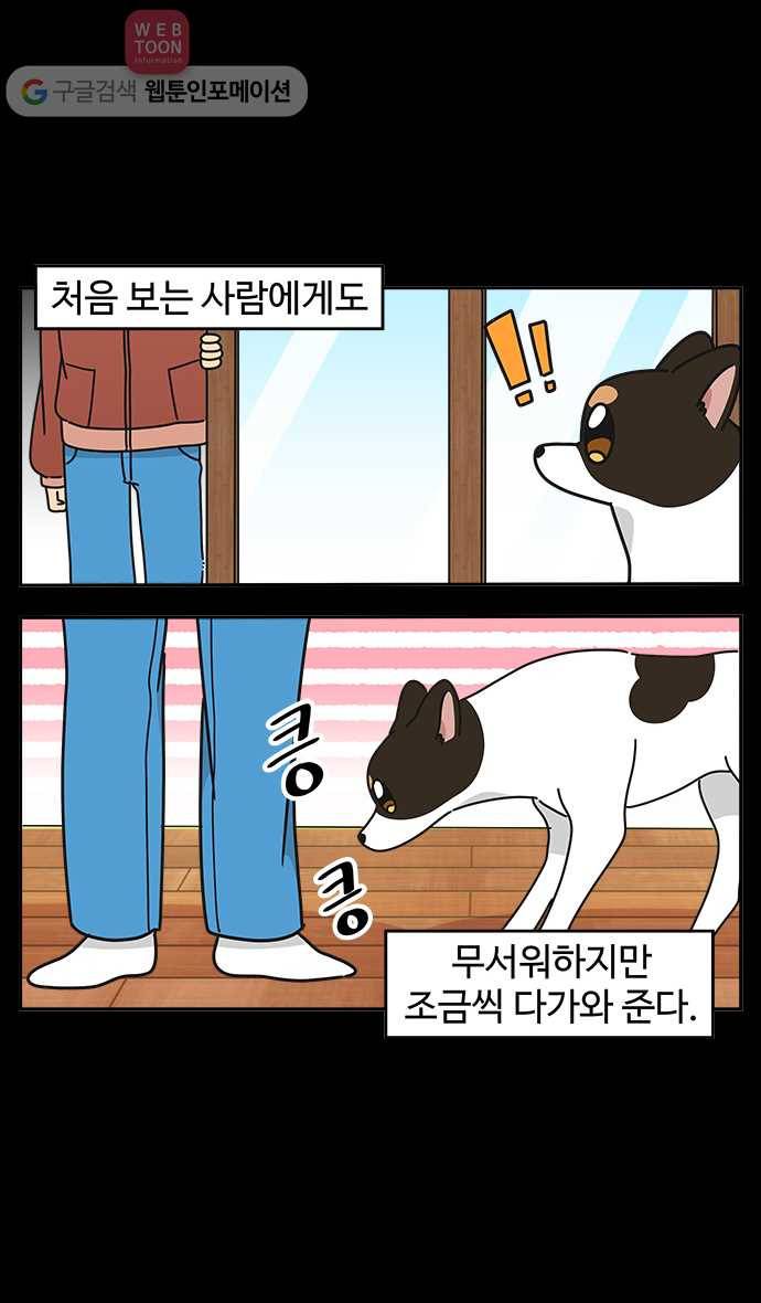 노곤하개 시즌3 50화 마지막 화 9