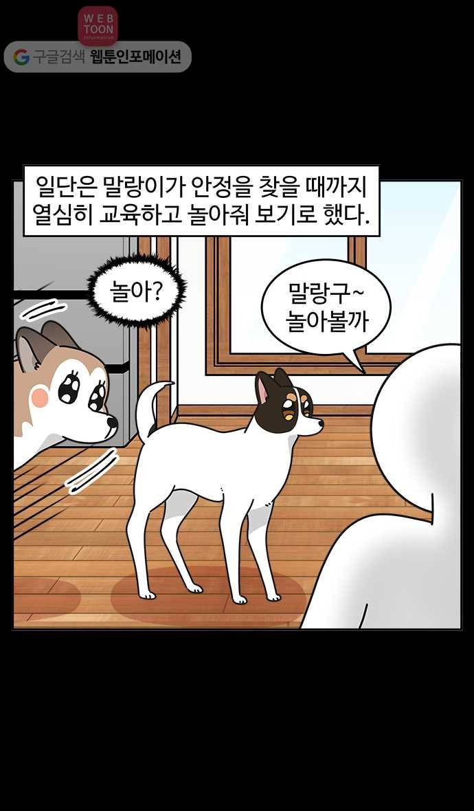 노곤하개 시즌3 50화 마지막 화 10