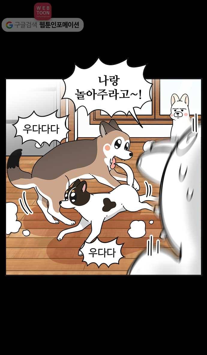 노곤하개 시즌3 50화 마지막 화 11