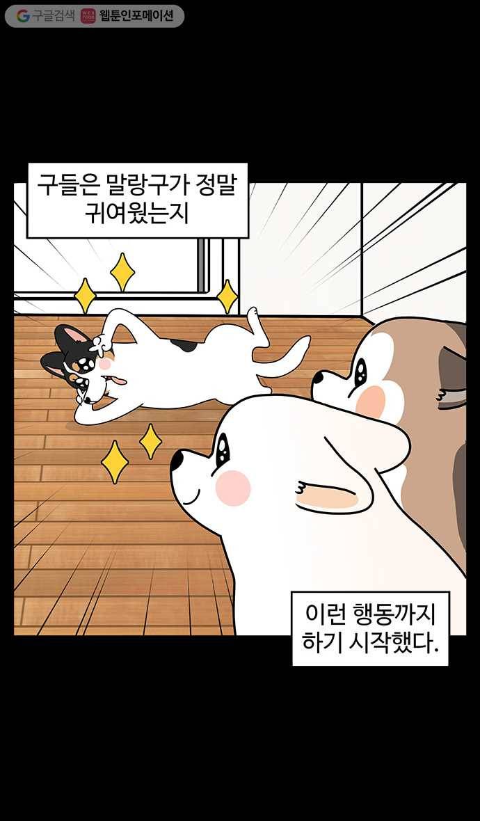 노곤하개 시즌4 8화 동생이 생겼다 (2) 2