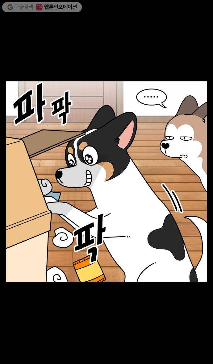 노곤하개 시즌4 8화 동생이 생겼다 (2) 4