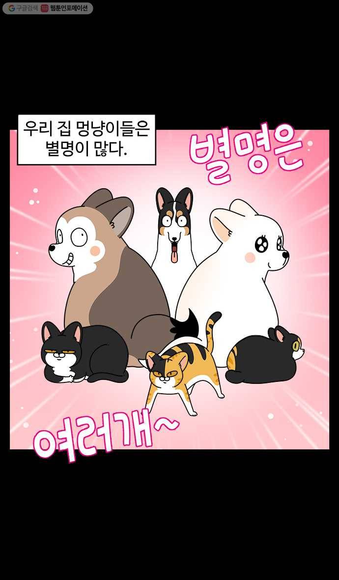 노곤하개 시즌4 22화 별명은 여러개 2