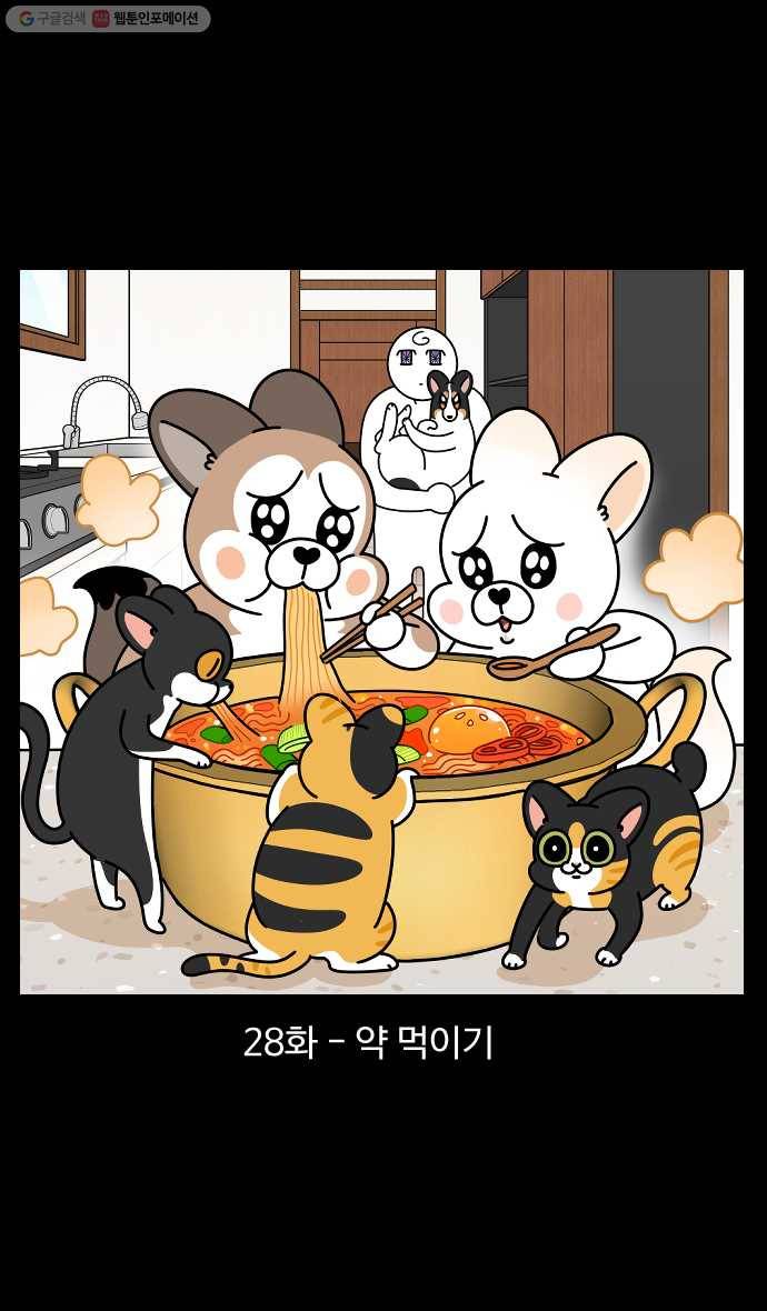 노곤하개 시즌4 28화 약 먹이기 1