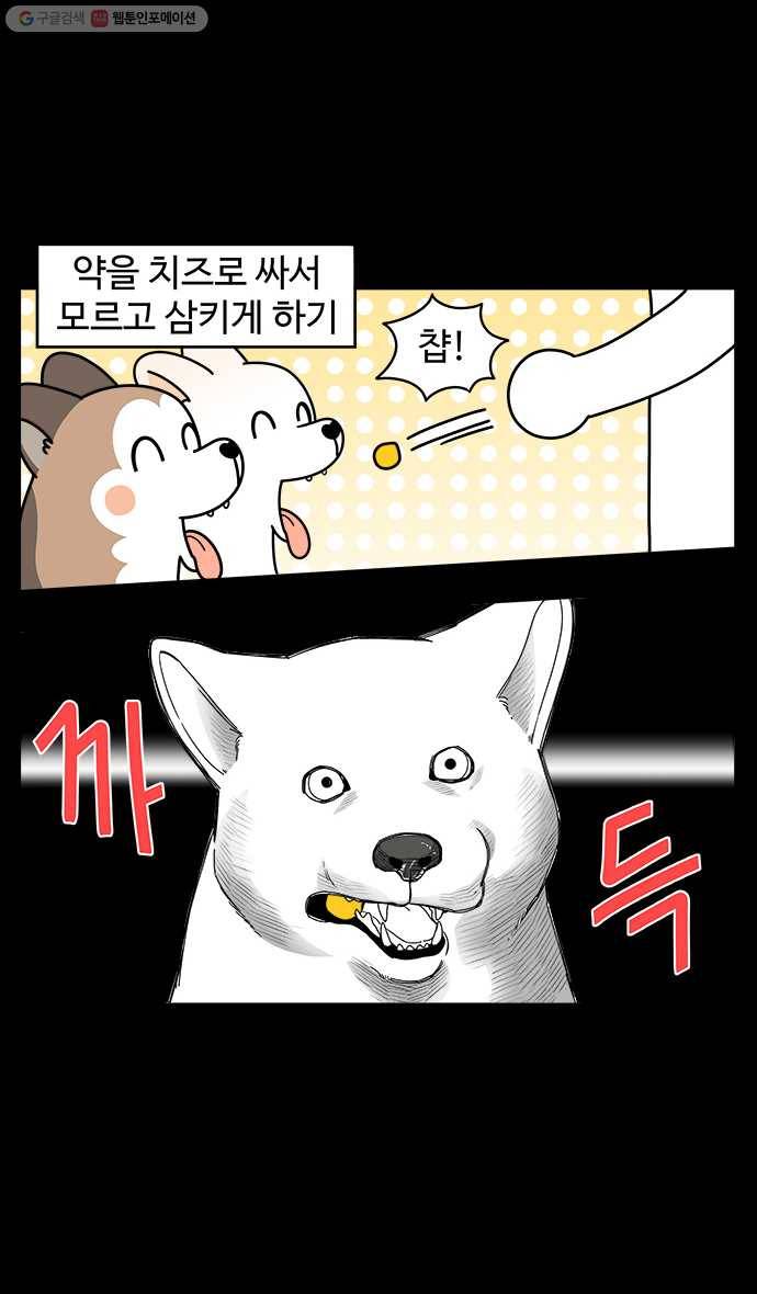 노곤하개 시즌4 28화 약 먹이기 4