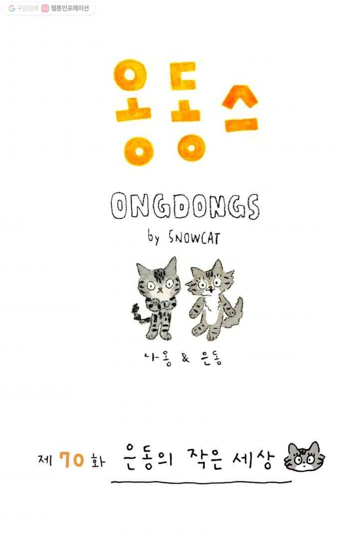 은동은동+옹동스 70화. 은동의 작은 세상 1