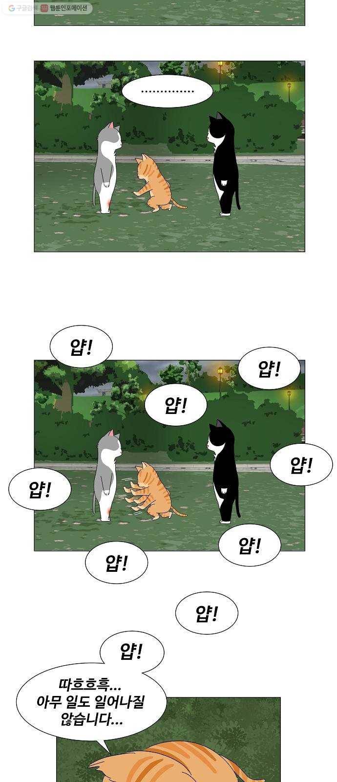 야생천사 보호구역 1화 가장 무해한 인간 7