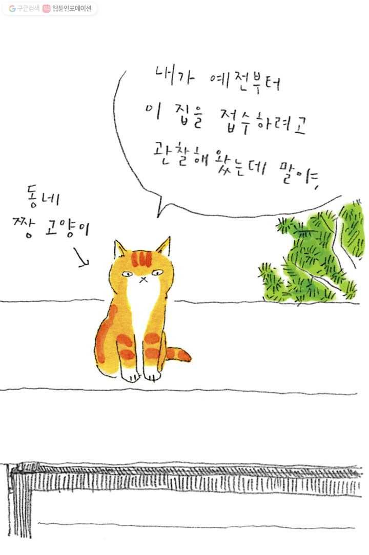 은동은동+옹동스 101화. 이번엔 다른 고양이들의 이야기 3