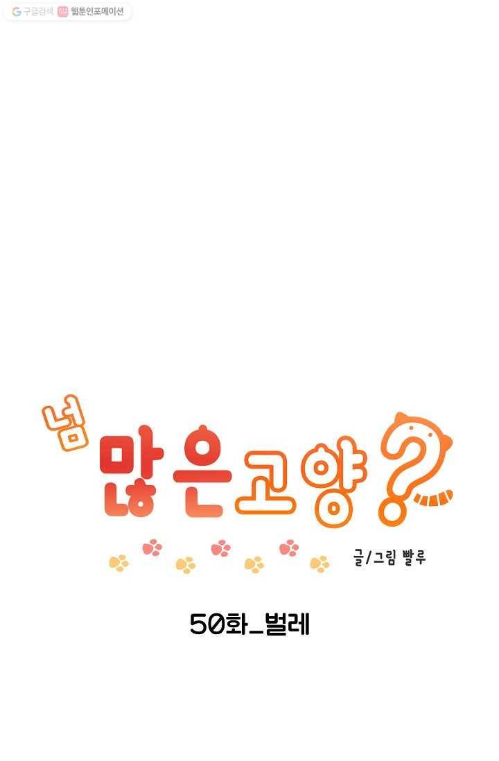 넘 많은 고양! 051화 1