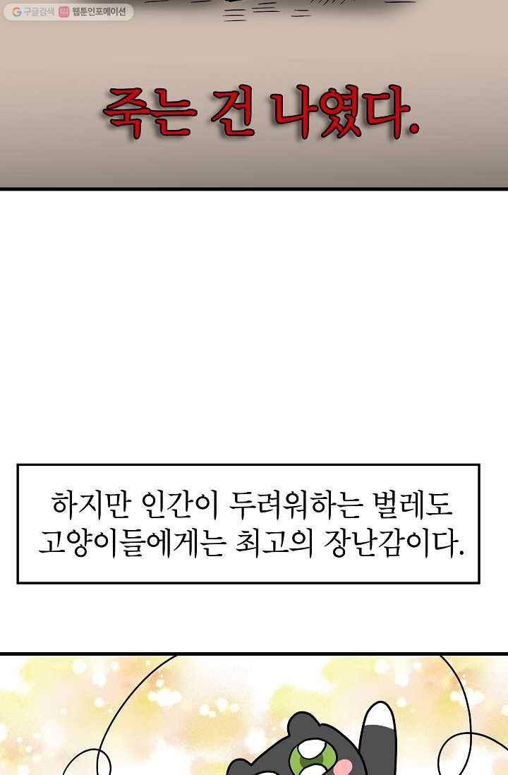 넘 많은 고양! 051화 8