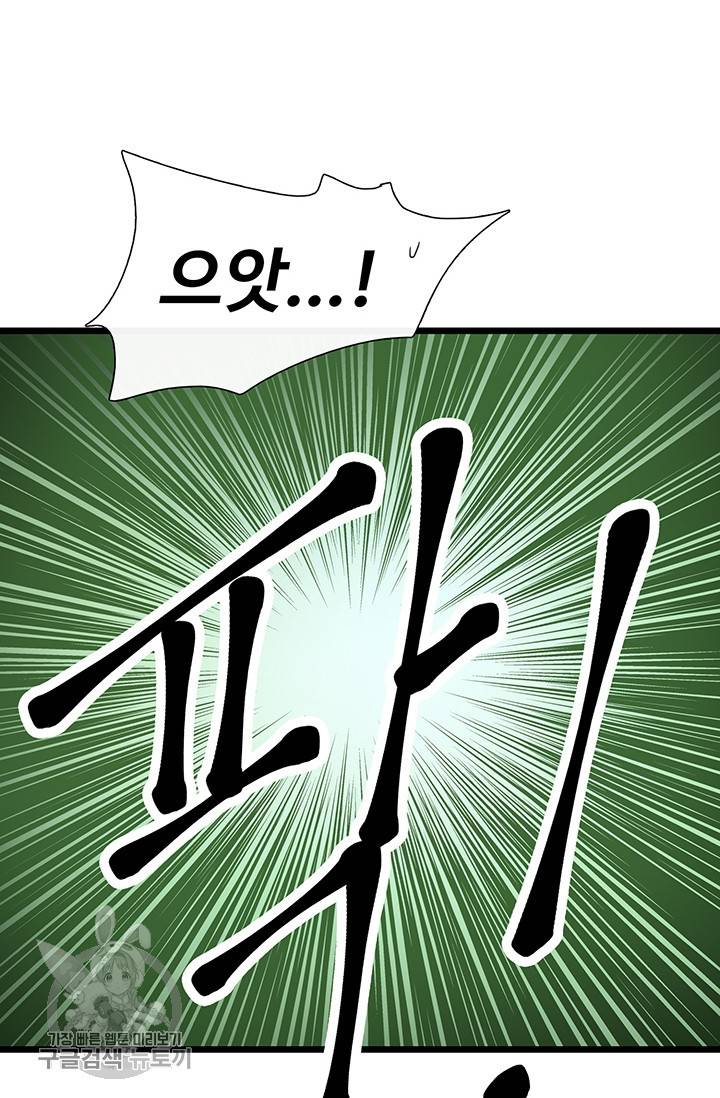 토템의 영역 28화 11