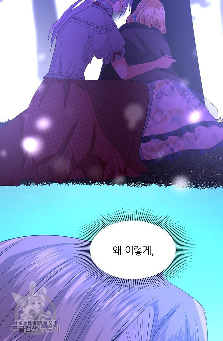 왕녀님은 파혼하고 싶어 40화 29