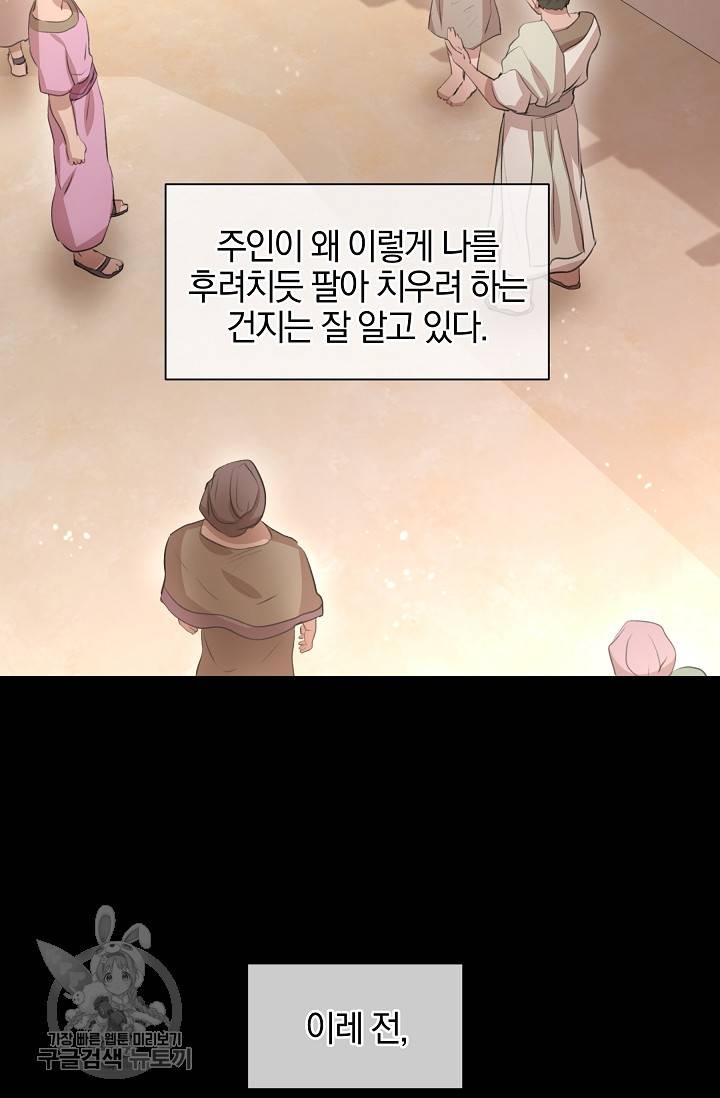 황금숲 17화 5