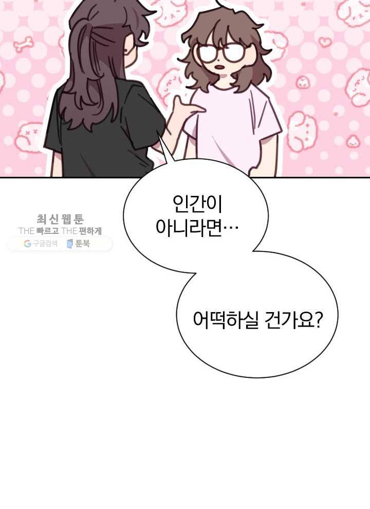 접경지역의 동물병원 39화 19