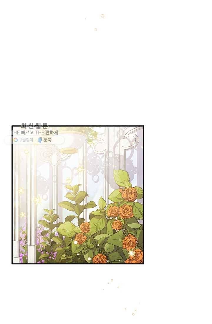 다행인지 불행인지 41화 3