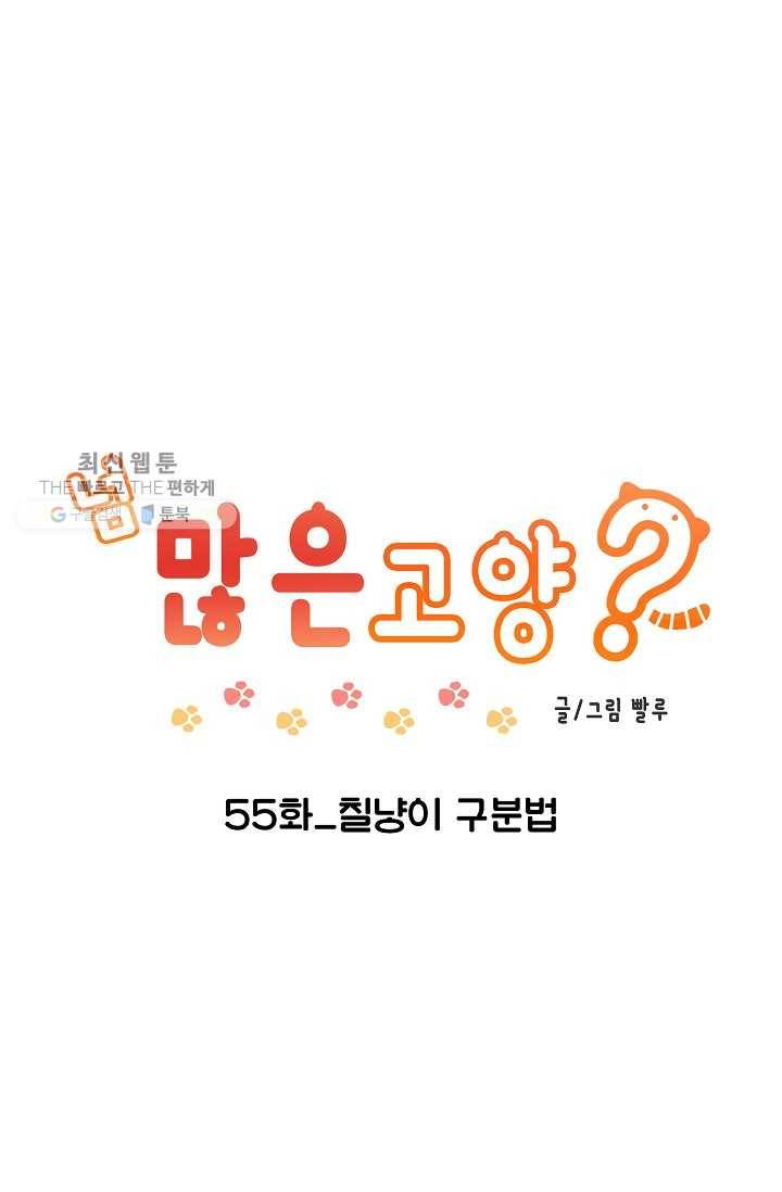 넘 많은 고양! 056화 1