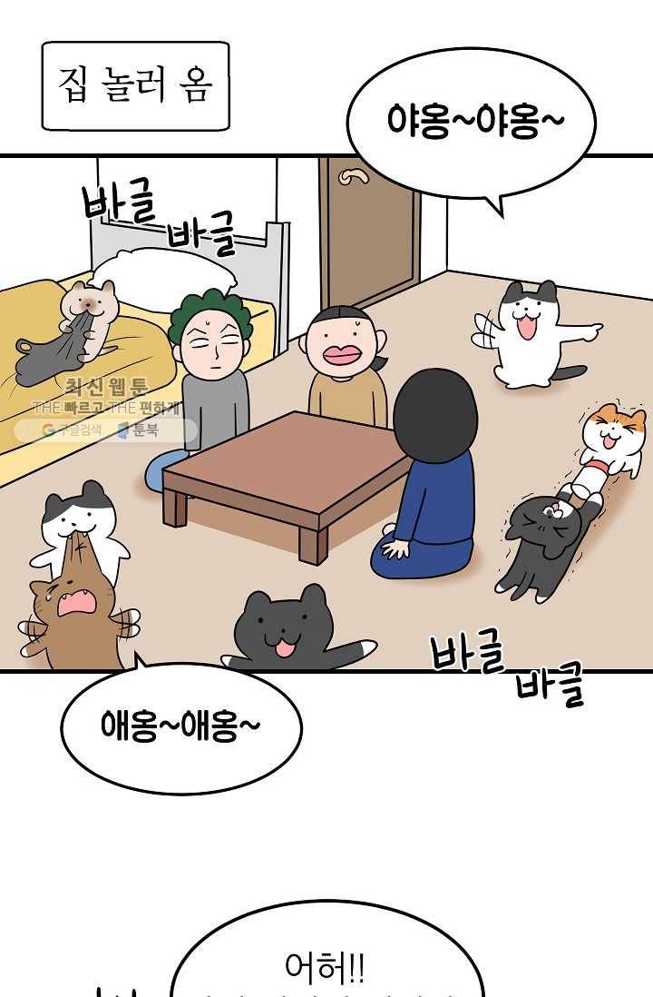 넘 많은 고양! 056화 2