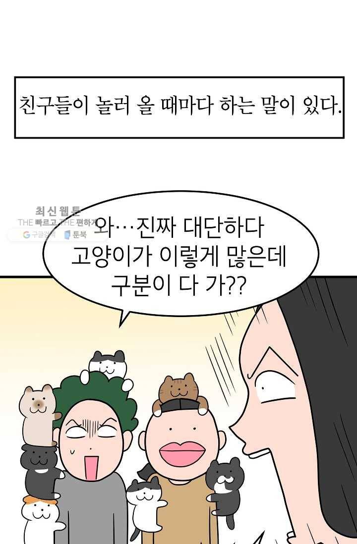 넘 많은 고양! 056화 4