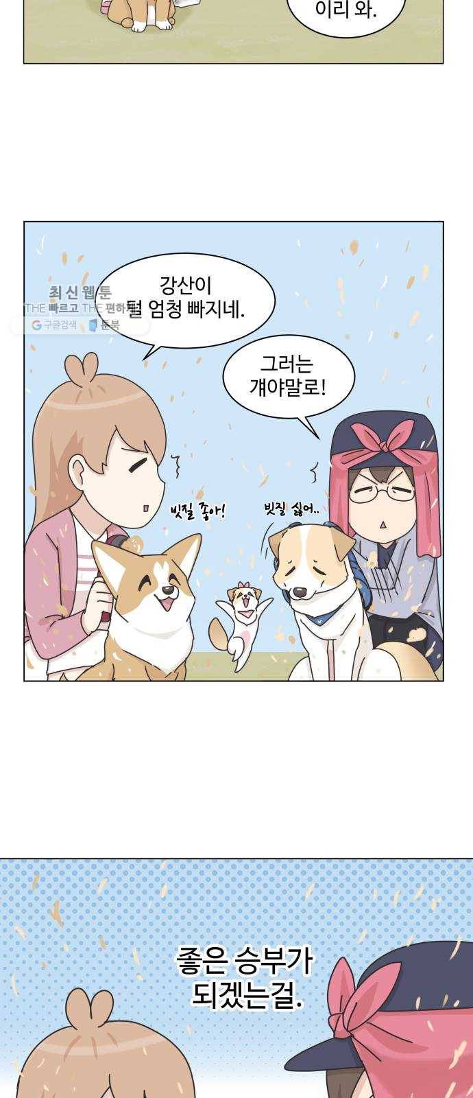 개를 낳았다 시즌2 48화 2