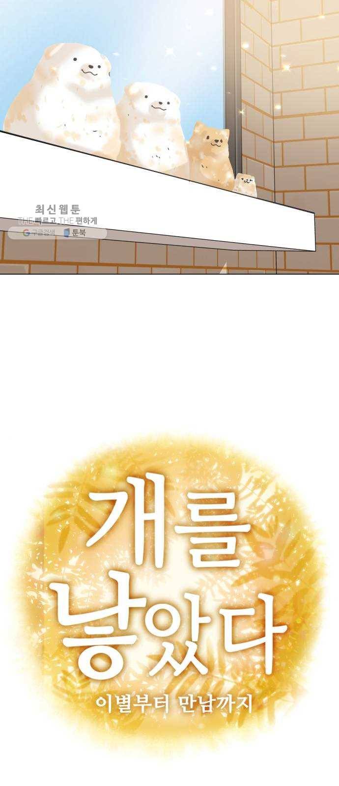개를 낳았다 시즌2 48화 9