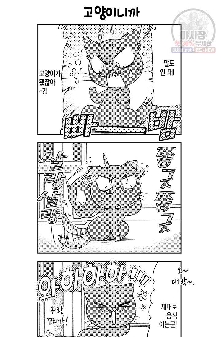 아시야 씨네 고양이 35화 5