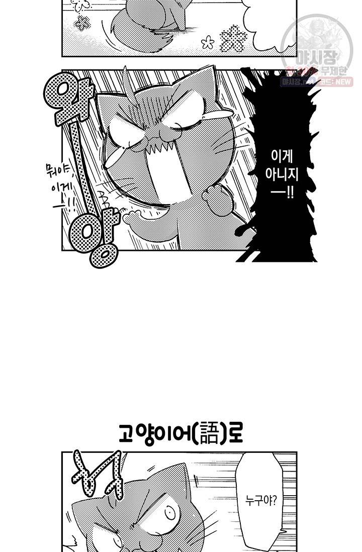 아시야 씨네 고양이 35화 6