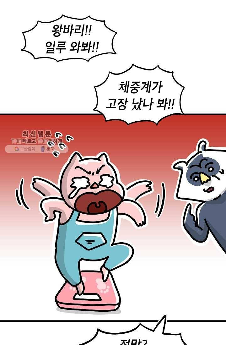 핫차!핫차! 차나무生 67화 6