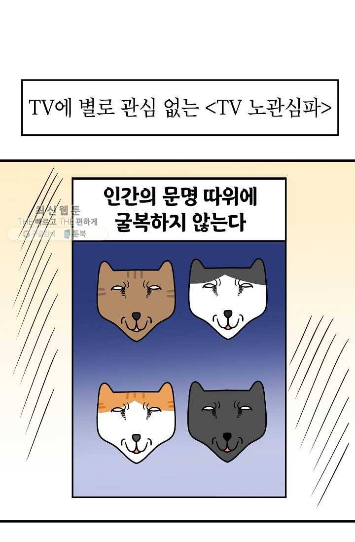 넘 많은 고양! 059화 2