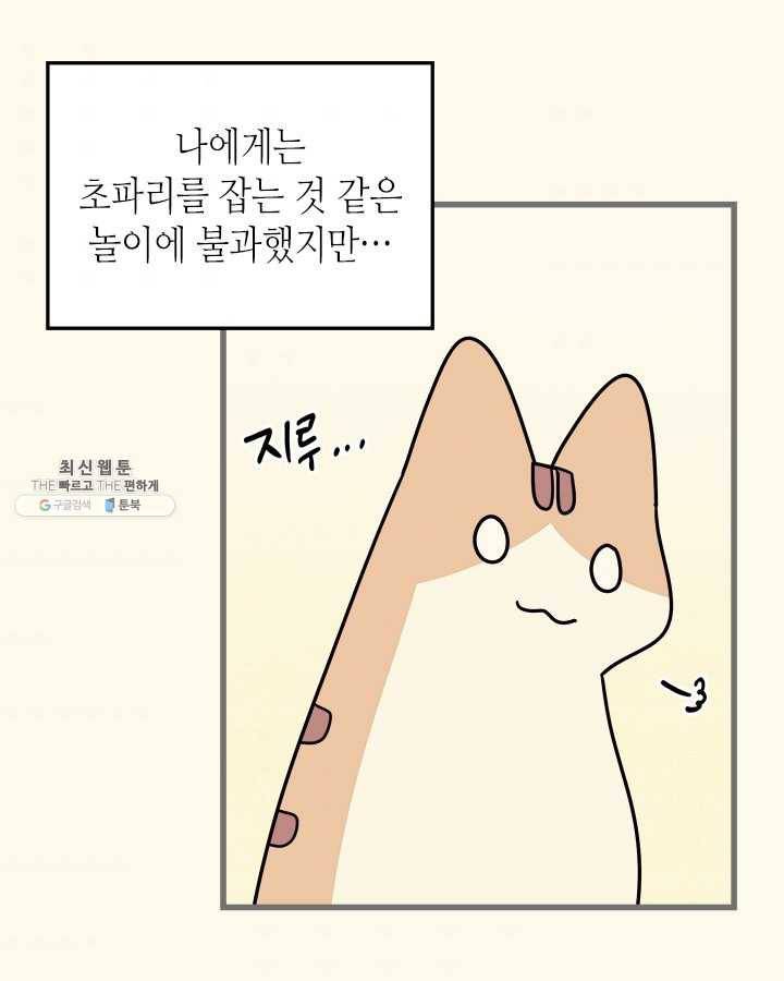 지구의 주인은 고양이다 195화 4