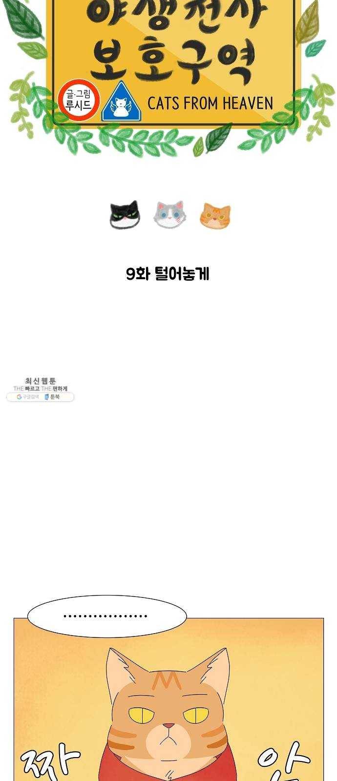 야생천사 보호구역 9화 털어놓게 9