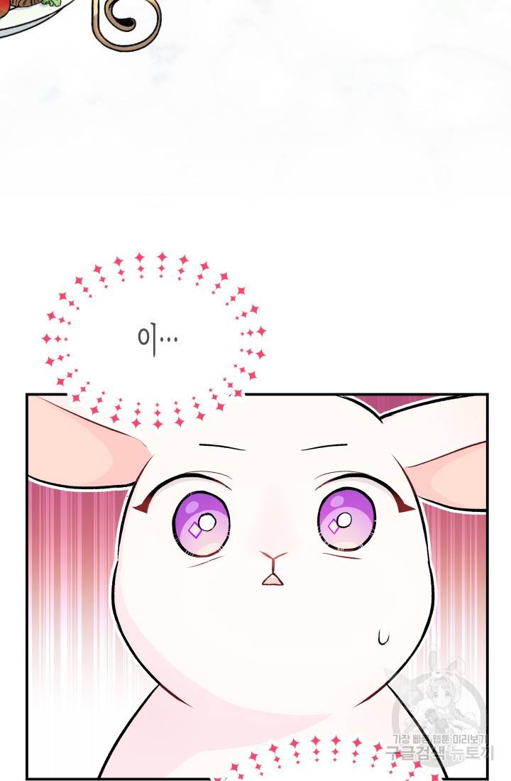 토끼와 흑표범의 공생관계 5화 6