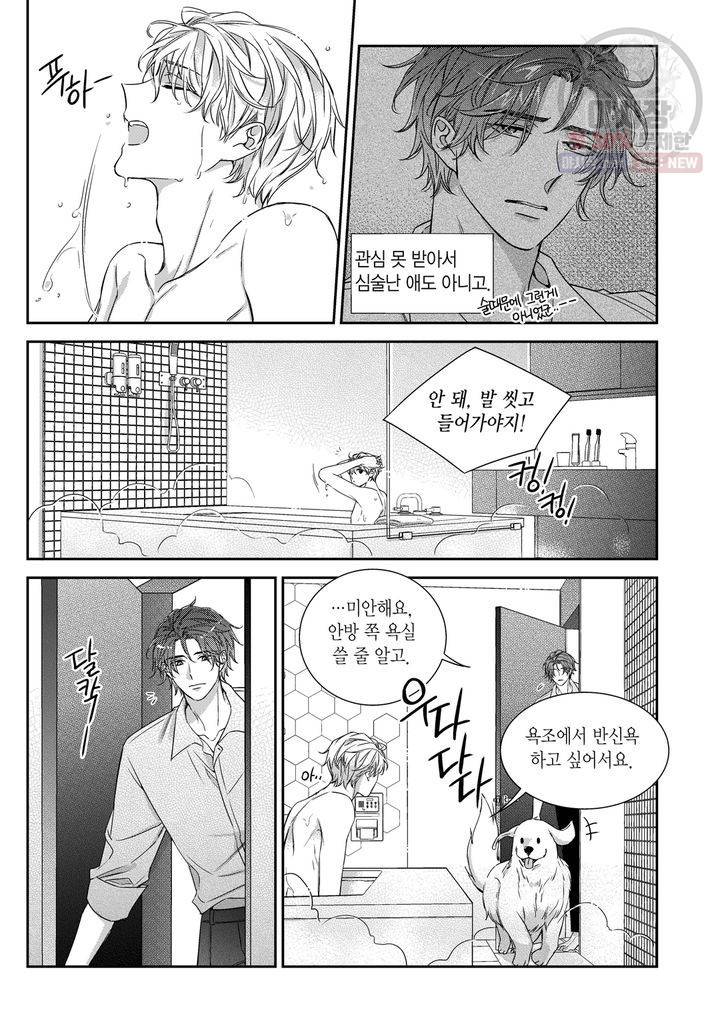 비의도적 연애담 61화 17