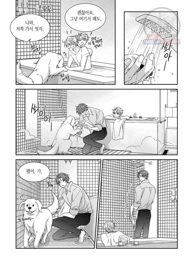 비의도적 연애담 61화 18