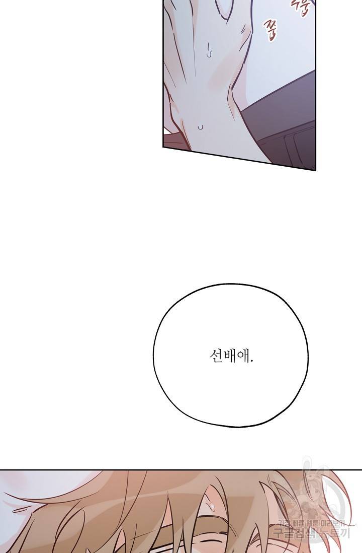 럭키 파라다이스 46화 16