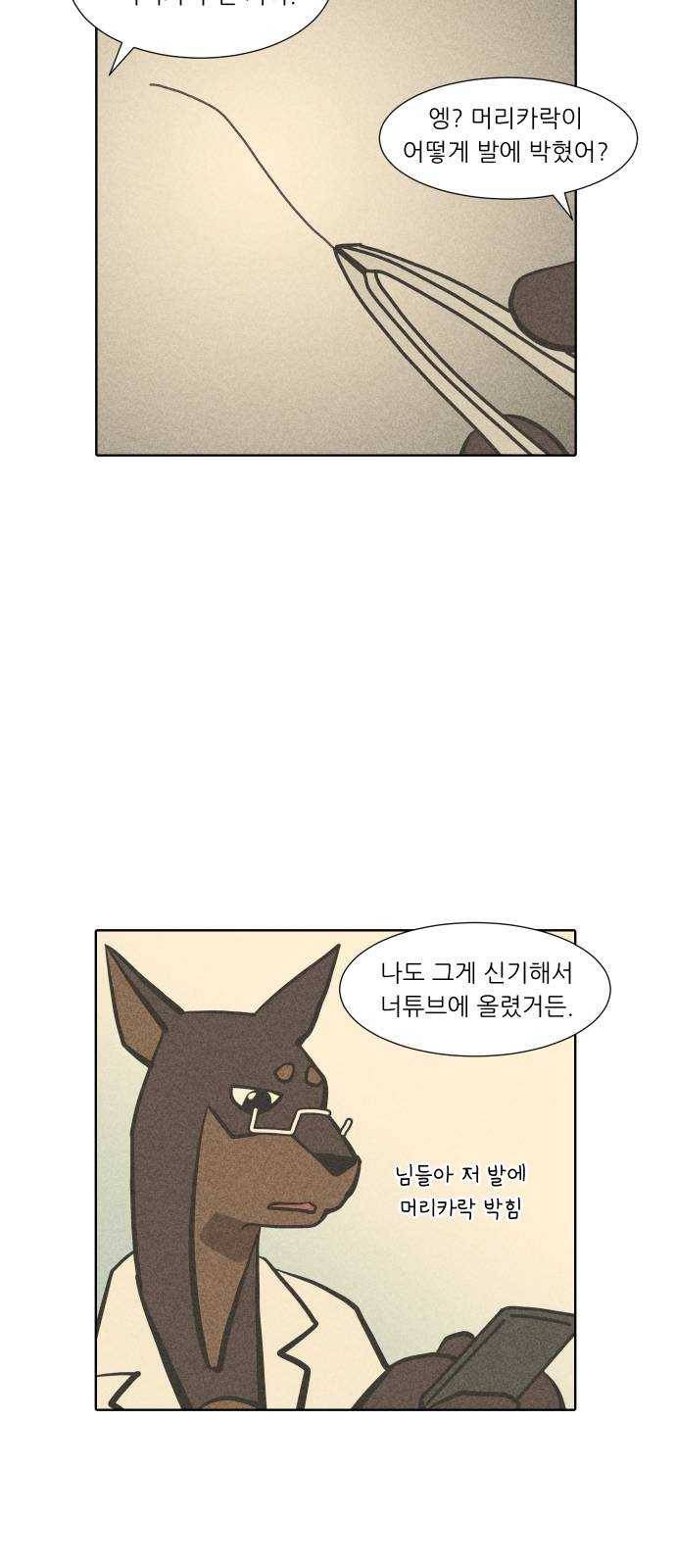 닥터앤닥터 육아일기 185. 도전 만화 3 14
