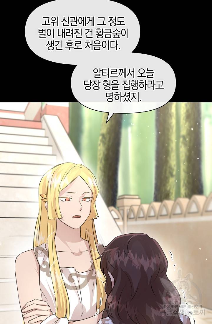 황금숲 26화 2