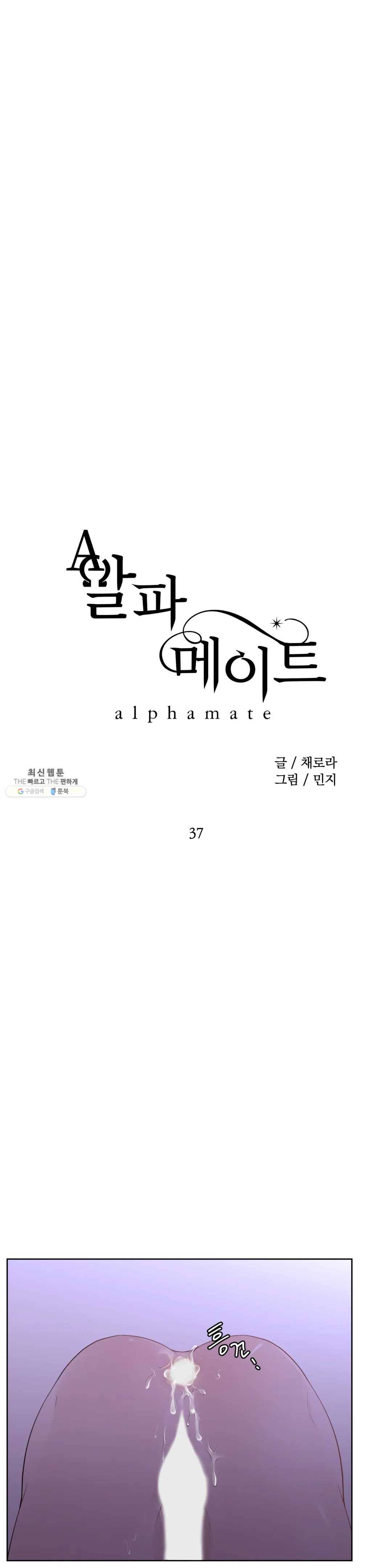 알파 메이트 37화 9