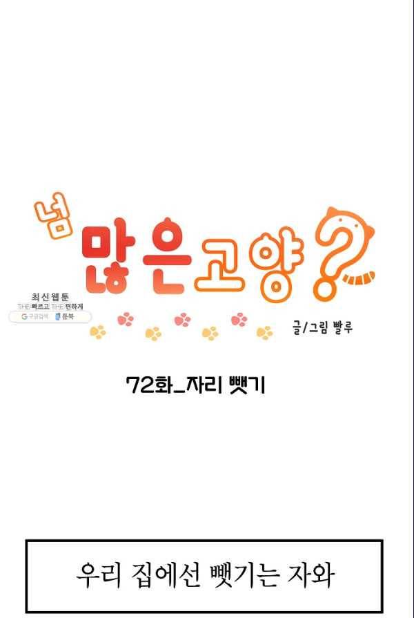 넘 많은 고양! 073화 1