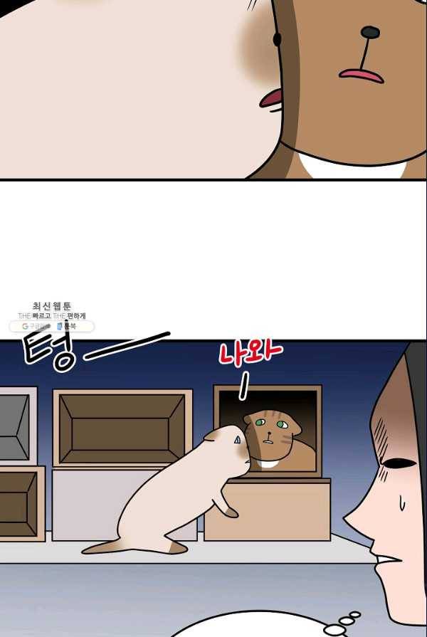 넘 많은 고양! 073화 3