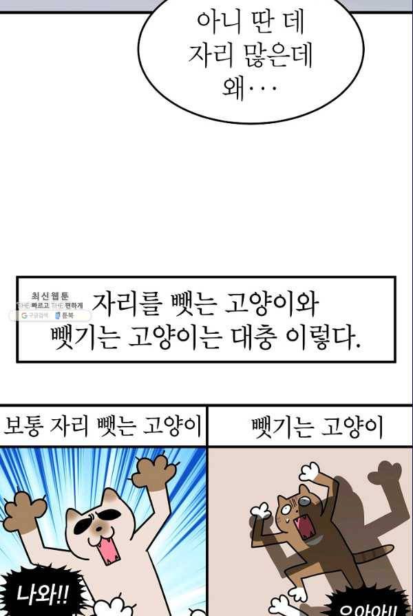 넘 많은 고양! 073화 4