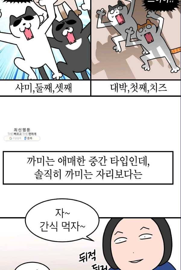 넘 많은 고양! 073화 5