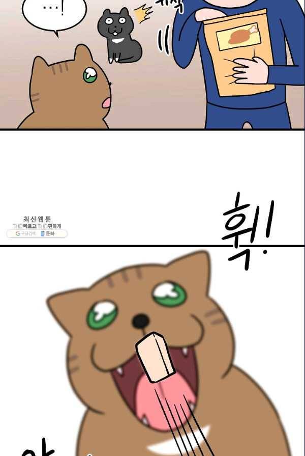넘 많은 고양! 073화 6
