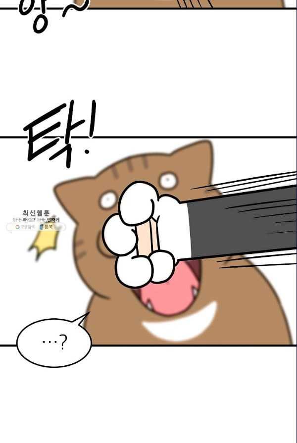 넘 많은 고양! 073화 7
